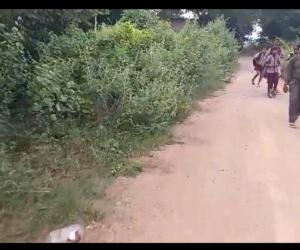 బడికి వెళ్లే బాటను బాగు చెయ్యండి